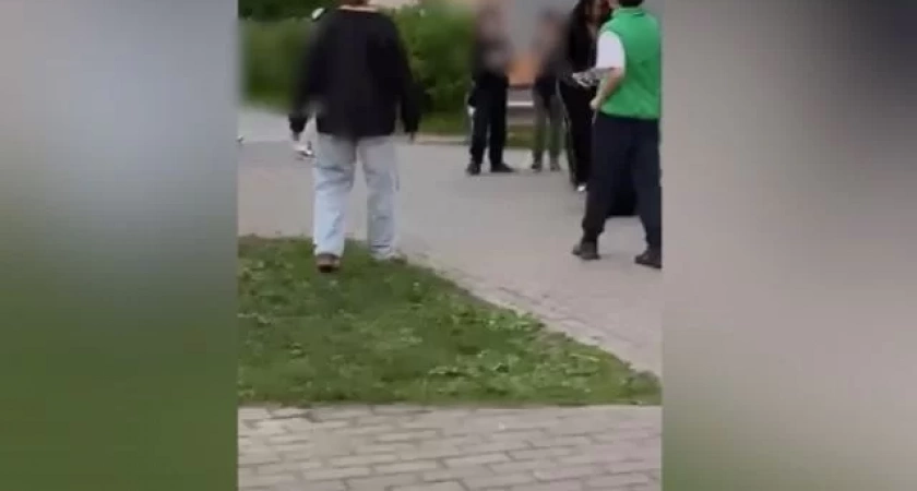 Женщина из Азербайджана избила 8-летнего ребенка на детской площадке в Мытищах