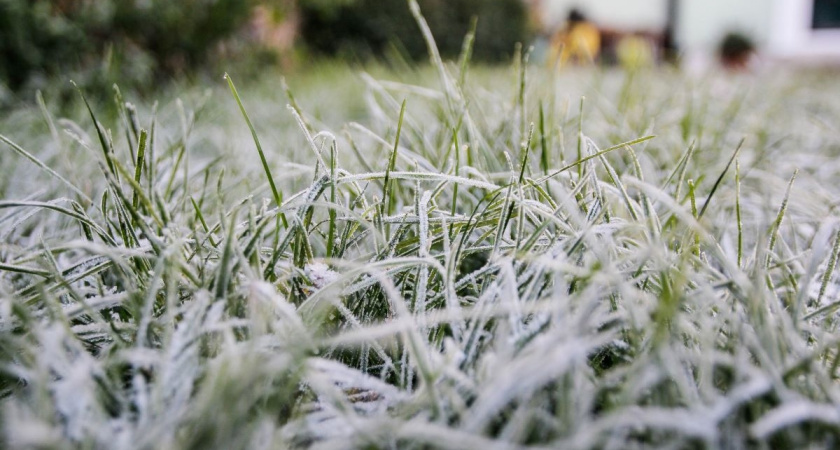 Холодные выходные: температура опустится до +5°C с дождями и возможными заморозками