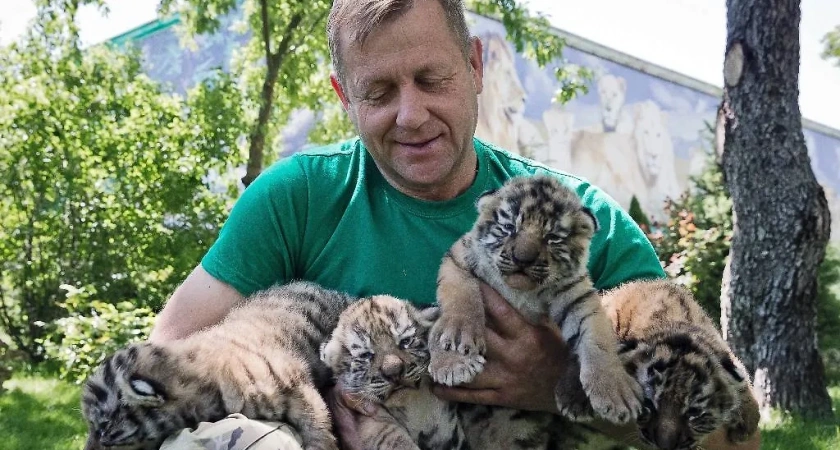 Лев напал на директора крымского сафари-парка из-за резкого звука