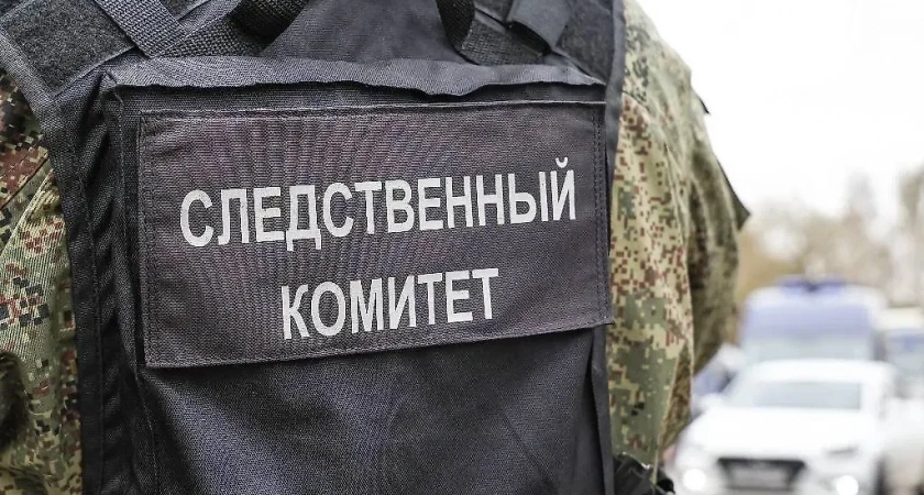 Двух пропавших девочек нашли мёртвыми в лесополосе под Оренбургом