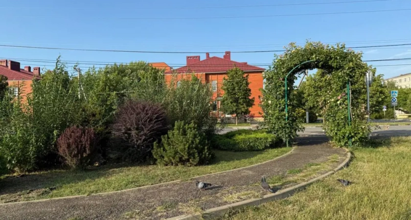 Синоптики предупредили об аномальной погоде летом 2025 года