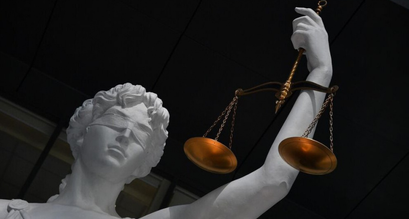 Суд в Москве вернул женщине породистую русскую голубую кошку после года борьбы с бывшим сожителем
