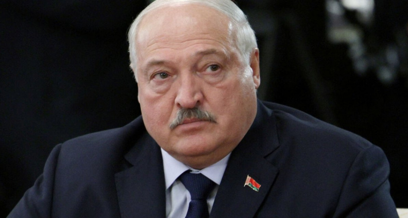Лукашенко поставил ультиматум: убрать все бревна из лесов Белоруссии до 1 сентября