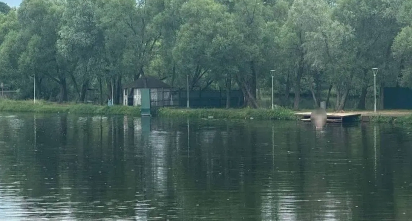 Прокуратура Москвы проверяет гибель 12-летней девочки: ушла под воду на глубине в Десне