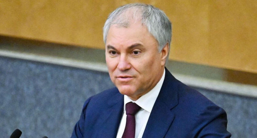 Володин заявил, что женщины-депутаты "выбрали политику" и их нельзя сравнивать с обычными матерями