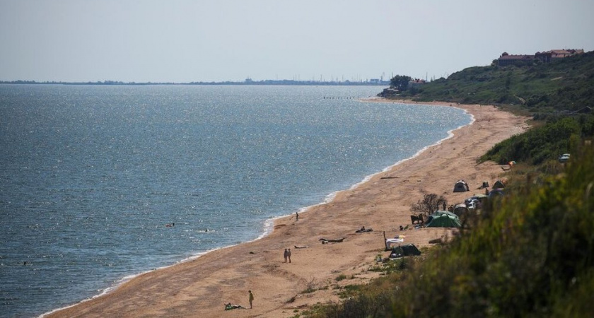 Тысячи гигантских медуз заполонили Азовское море и атакуют туристов