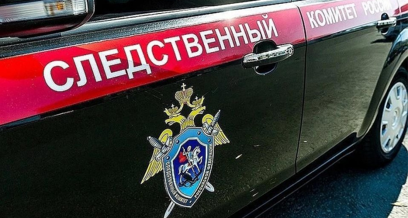 Правнучке Чкалова грозит уголовное дело после трех штрафов за статус иноагента