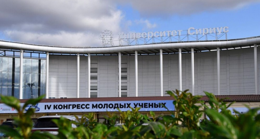 В Сириусе запустили горячую линию после атаки БПЛА с попаданием по нефтебазе