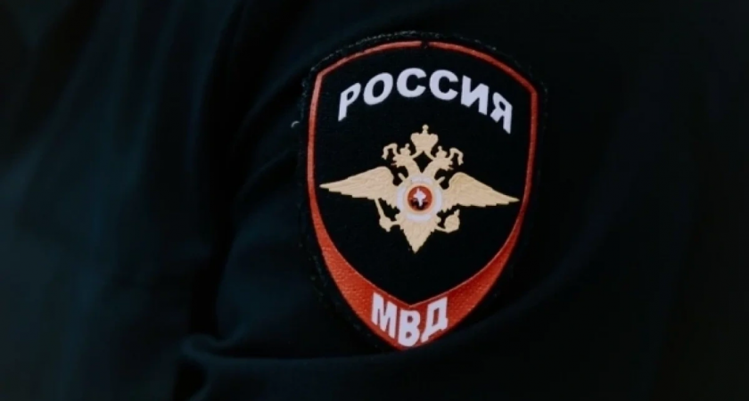 МВД назначило 1 млн рублей за информацию об убийствах детей в Марий Эл и на Камчатке