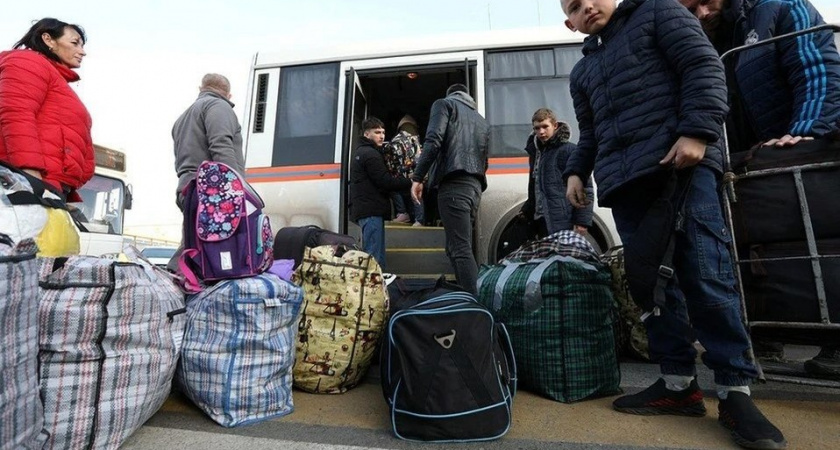 Жители села отказались принимать беженцев из-за 11 собак и 34 кошек