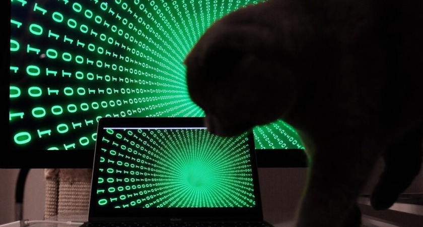 Хакеры используют GitHub и соцсети для кражи данных российских организаций через Cobalt Strike