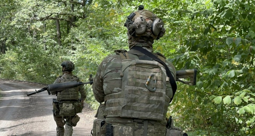 Бойцы Ленинградского полка захватили снайперские винтовки FN SCAR и пулеметы НАТО в Харьковской области