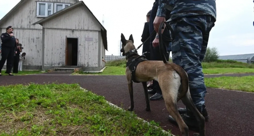 В КБР ликвидировали троих террористов, готовивших нападение на правоохранителей в селе Исламей