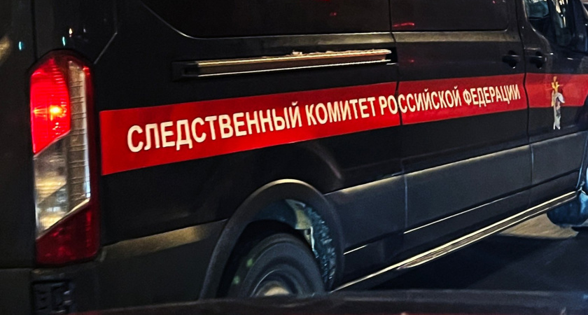 Дерево упало на секретаря "Газпрома" в Дербенте: 37-летняя туристка погибла у Джума-мечети