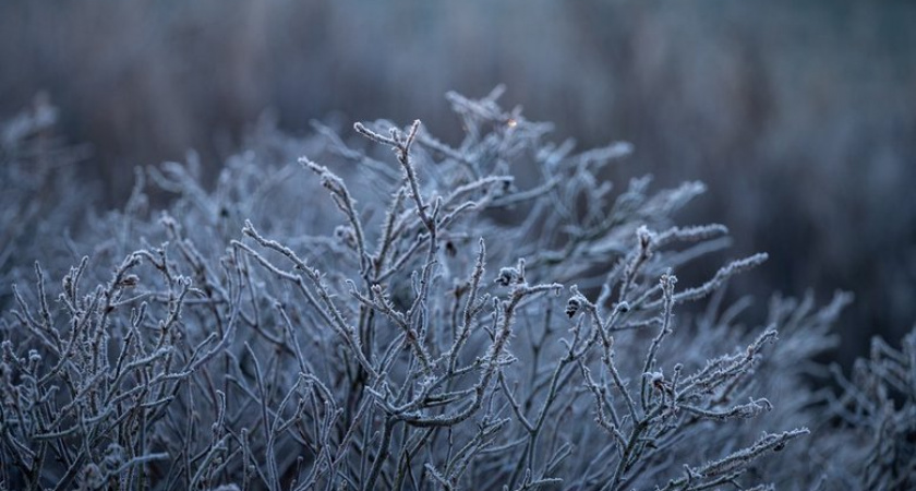 До −6°C в Магаданской области: Гидрометцентр предупредил о начале морозного сезона