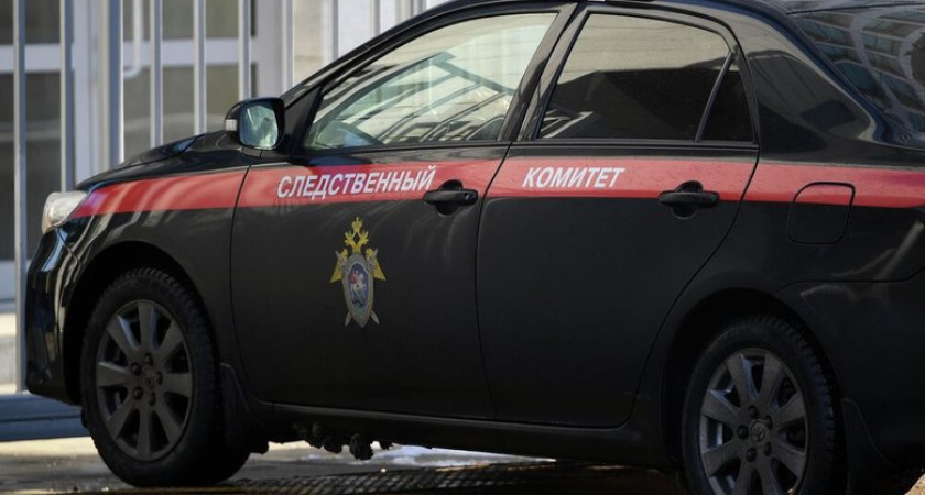До 5 лет тюрьмы: в России ввели уголовную ответственность за незаконные следственные действия иностранцев