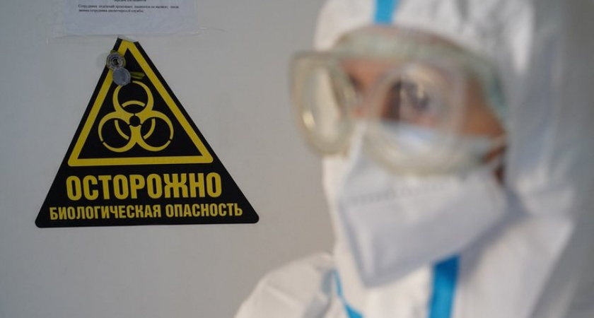 Вирус Солт Галли из семейства Нипах циркулирует среди австралийских летучих мышей с 2011 года