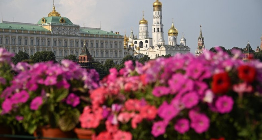 Handelsblatt: Путин назвал Зеленского "главой администрации" и предложил встречу в Москве для дипломатической победы