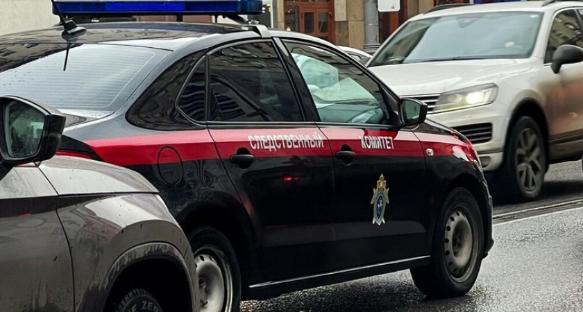 Бастрыкин проверит информацию о принуждении 17 человек к рабскому труду в хуторе Ростовской области