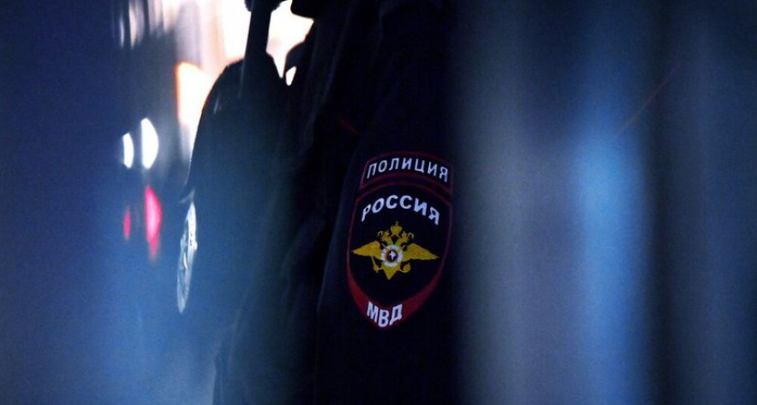 670 тысяч нелегалов остались в России после истечения президентского срока легализации
