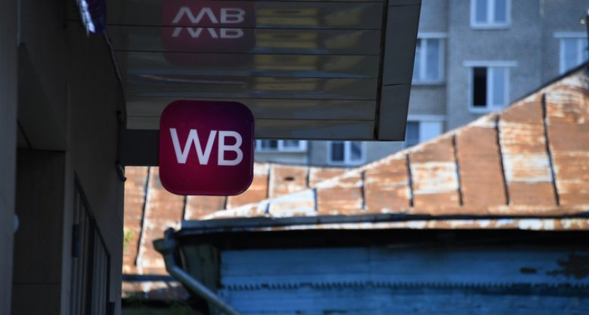 Wildberries и Ozon поддержали невозвратные тарифы по модели авиабилетов против мошенников