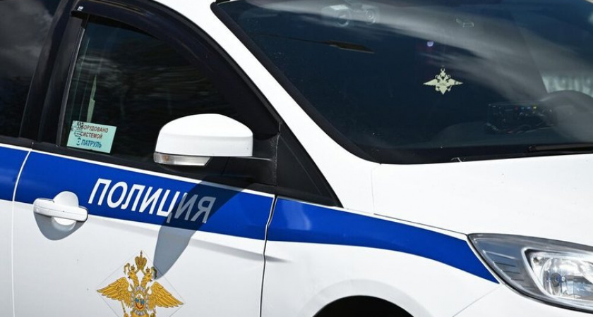 Житель Приморья с частями краснокнижного амурского тигра в багажнике заявил, что "просто нашел их"