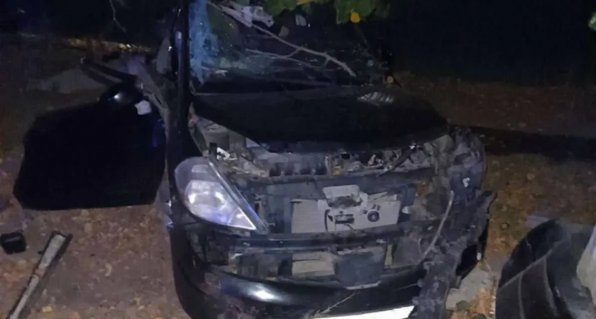 15-летний водитель на Nissan отца врезался в дерево: трое детей погибли, двое в больнице