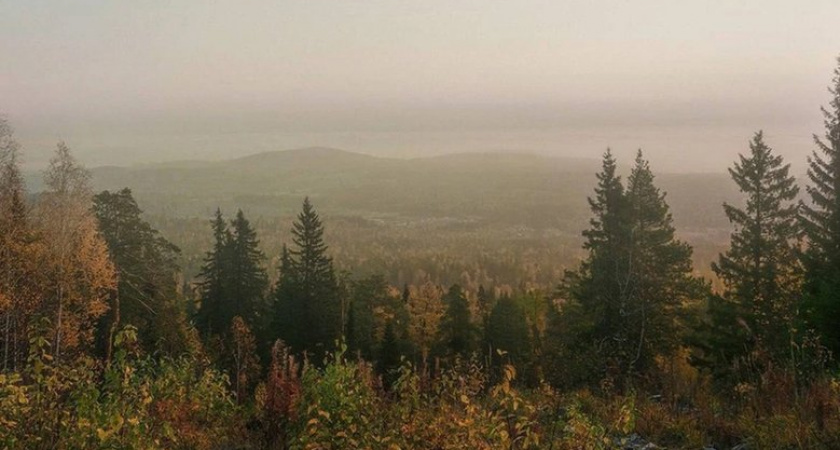 Семья с 5-летней дочерью пропала в тайге: спасатели обследовали уже 5000 км дорог