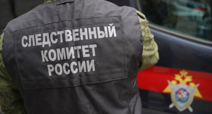 В Орле арестовали несовершеннолетнюю по секретному делу о государственной измене