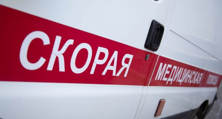 14-летний подросток погиб под рухнувшим знаком после ДТП с Renault в Воронеже