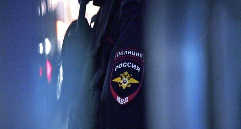 19 мигрантов оказались причастны к драке у ЖК «Прокшино»: двоих могут лишить гражданства
