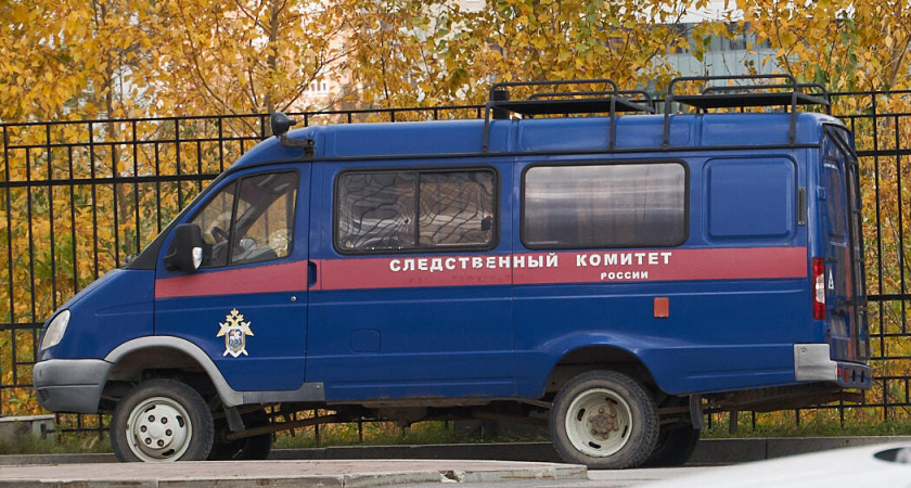 Обезглавленное тело у дерева под Ивделем: погибшую могли искать в Челябинске