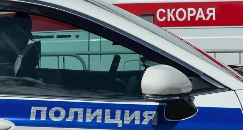 Сёстры 7 и 9 лет погибли в ДТП в Ревде: третья девочка борется за жизнь