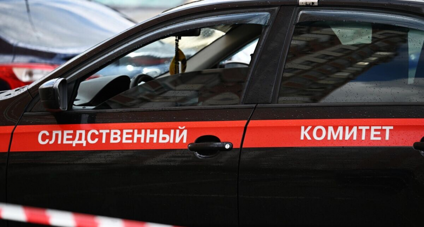 Отцу четверых детей из Канска предъявили обвинение: трое убиты матерью топором, один выжил