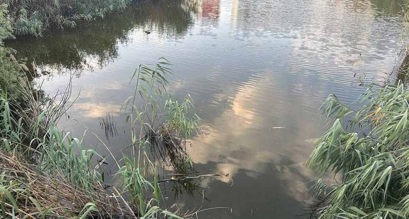 Восемь квадратных километров воды ушли в Черную Яму: озеро Шимозеро провалилось под землю