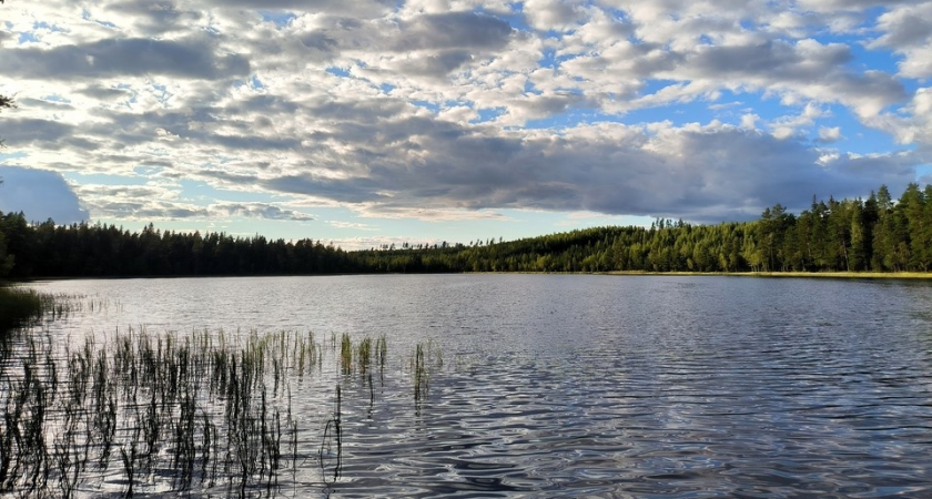 Озеро площадью 8 км² исчезло через воронку на дне: Шимозеро в Вологодской области снова пропало
