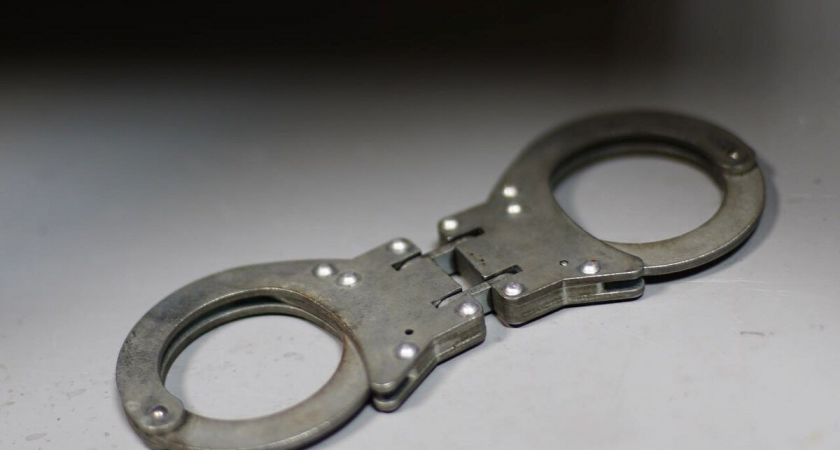 73-летнего выпускника артиллерийского училища задержали за посты о пленных в соцсетях