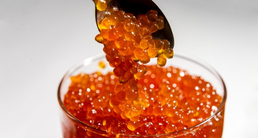 Девятый раз за год: в камчатской икре кеты нашли опасное превышение дрожжей и микробов