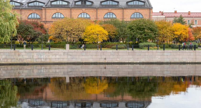 Дожди вместо снега: синоптик Колесов назвал сроки похолодания в Петербурге