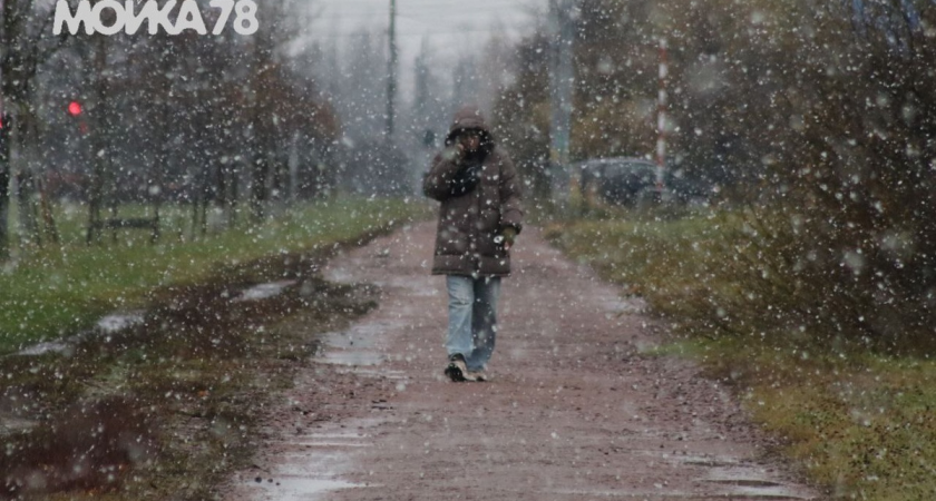 Снег придет во второй половине ноября: синоптик Колесов назвал срок похолодания в Петербурге