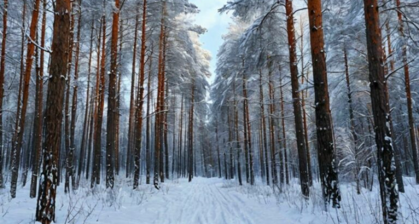 Ноябрь будет теплым и сухим: снег в Москве ляжет только в последней декаде осени