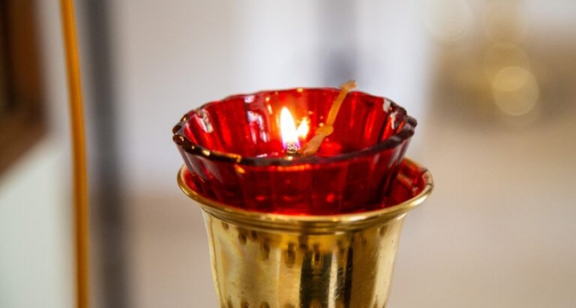 Умерла на 34-м году жизни: скончалась журналист «Ленты.ру» и «Известий» Мария Фролова