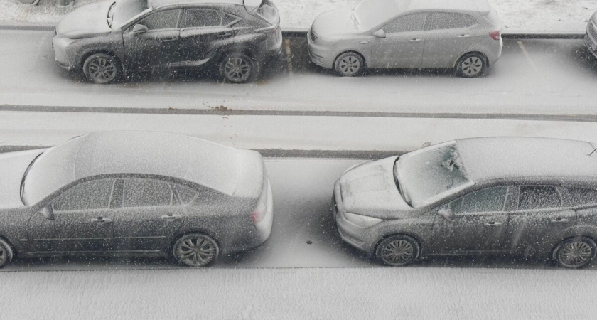 Снег в Нижегородской области может не выпасть до Нового года