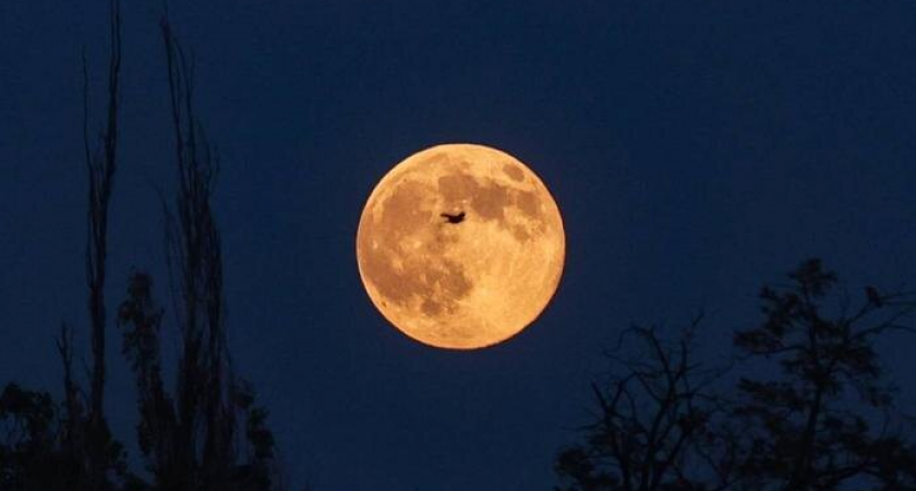 Луна приблизилась к Земле на рекордные 356 961 км: москвичи наблюдают «суперлуние» сквозь облака