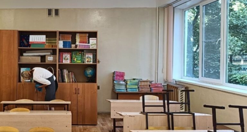 Академик РАН против июньской учёбы: «Малышам нужен отдых, а не творческие дисциплины»