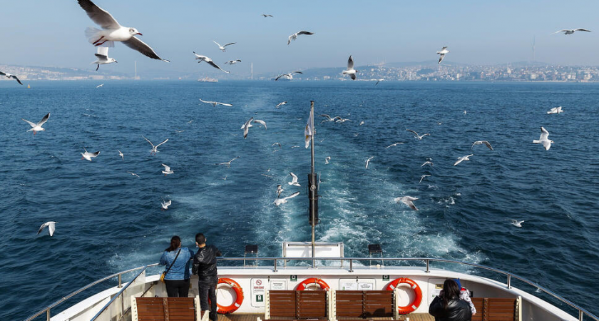 20 пассажиров целый день простояли на пароме у берегов Сочи из-за бюрократии