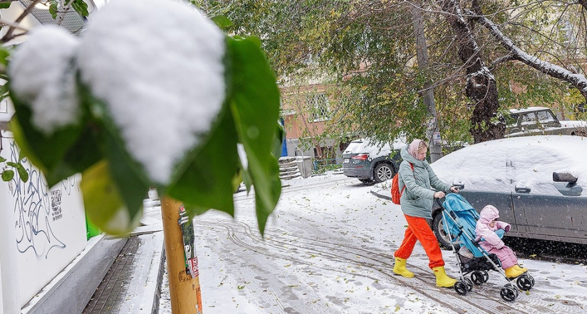 Москву ждут заморозки до -2°: температура рухнет на 13 градусов за выходные