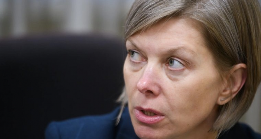 Детский омбудсмен Свердловской области: беби-бум привел к росту подростковой преступности