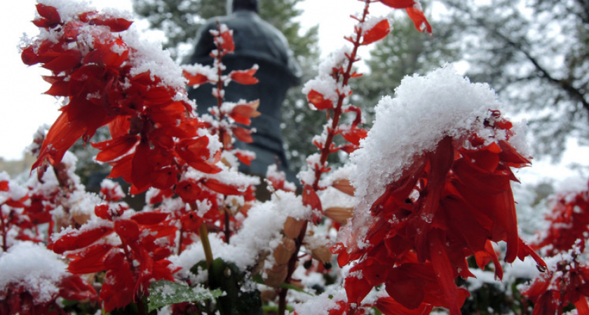 Столбики термометров устремятся к нулю: синоптик «Фобоса» предупредил москвичей о резком похолодании