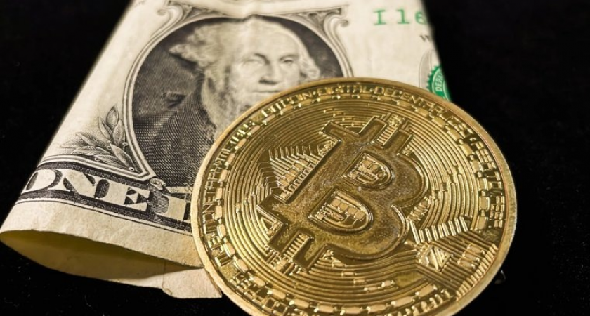 Супругов Новак похитили и убили в ОАЭ, закопав тела в пустыне ради криптовалюты